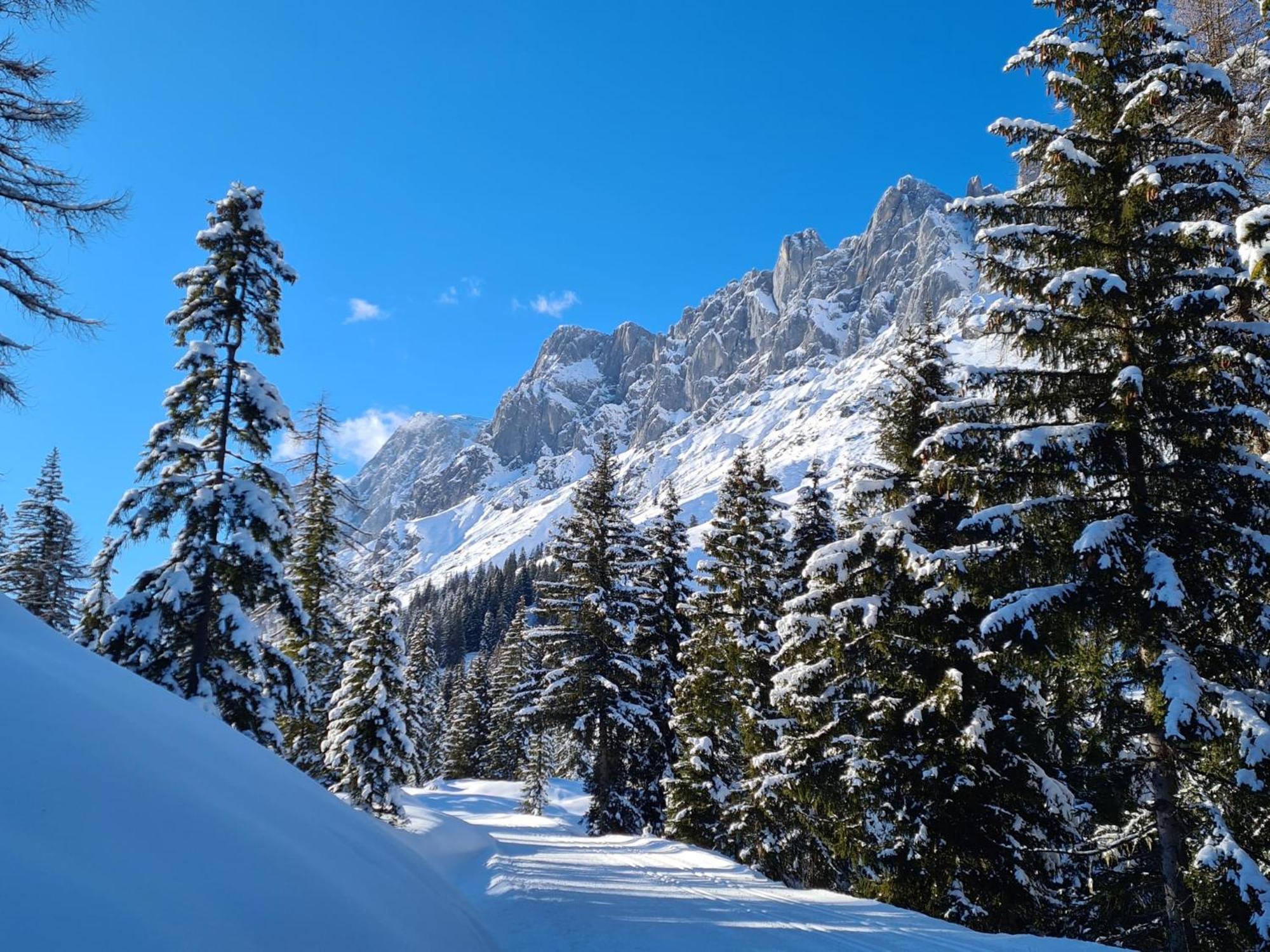 Sonnblick Top 6 Villa Muhlbach Am Hochkonig Bagian luar foto